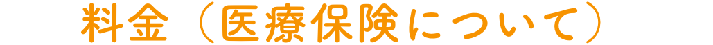料金（医療保険について）